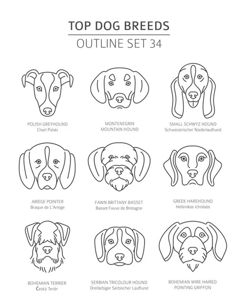 Les Meilleurs Chiens Reproduisent Chiens Chasse Prêts Collection Contours Pour — Image vectorielle