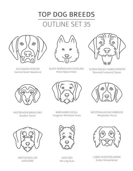 Top Dog Breeds Hunting Dogs Set Pet Outline Collection Vector — Stock Vector