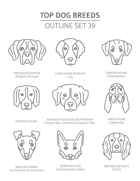 Top Dog Breeds Hunting Dogs Set Pet Outline Collection Vector — Stock Vector