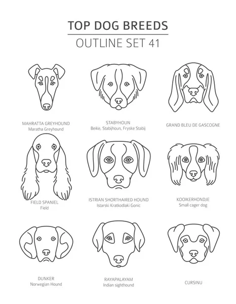 Les Meilleurs Chiens Reproduisent Chiens Chasse Prêts Collection Contours Pour — Image vectorielle