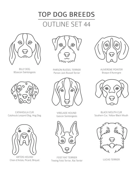 Mejores Razas Perros Juego Perros Caza Colección Bosquejos Para Mascotas — Vector de stock