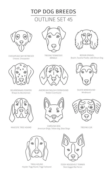 Top Dog Breeds Hunting Dogs Set Pet Outline Collection Vector — Stock Vector