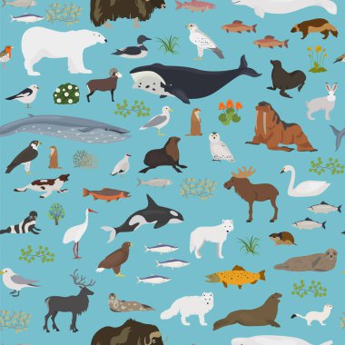 Tundra biome. Karasal ekosistem dünya haritası. Arktik hayvan, kuş, balık ve bitki Dikişsiz desen tasarım. Vektör çizim