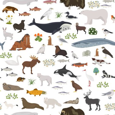 Tundra biome. Karasal ekosistem dünya haritası. Arktik hayvan, kuş, balık ve bitki Dikişsiz desen tasarım. Vektör çizim