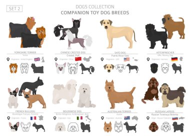 Beyaz izole arkadaşı ve minyatür oyuncak köpek koleksiyonu. Düz stil. Farklı renk ve menşe ülke. Vektör çizim