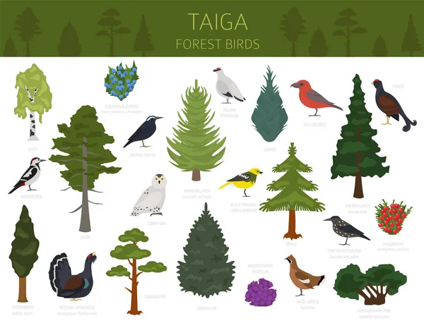 Taiga Biome Boreal Snow Forest Terrestrial Ecosystem World Map Animals — Stock Vector