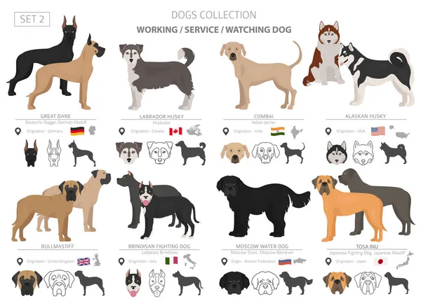 工作, 服务和观看狗收集隔离在白色. — 图库矢量图片