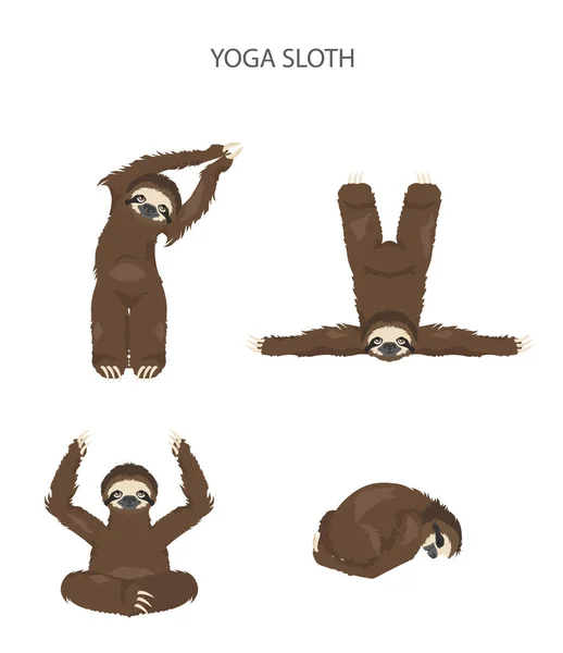 Коллекция йоги ленивцев. Смешные мультяшные животные в разных позах — стоковый вектор