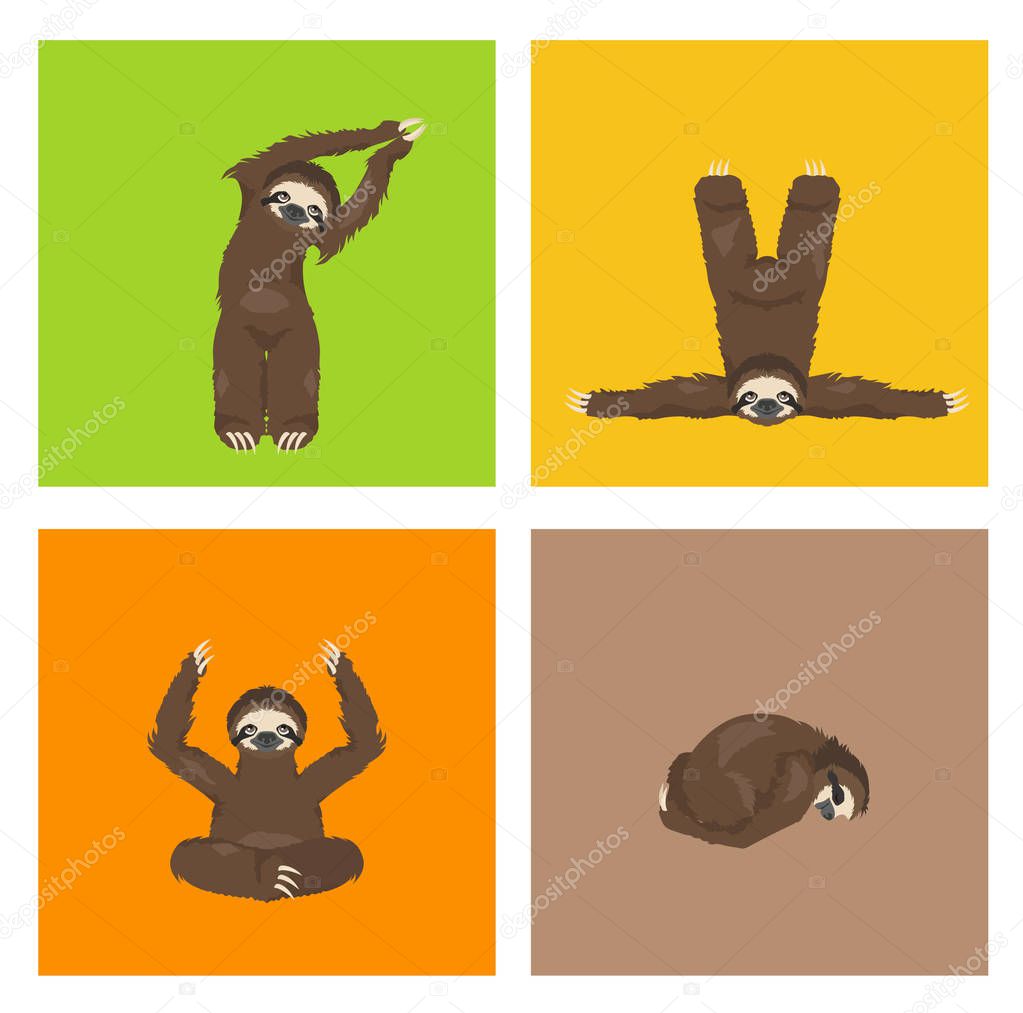 Sloth yoga collection. Funny cartoon animals in different postur