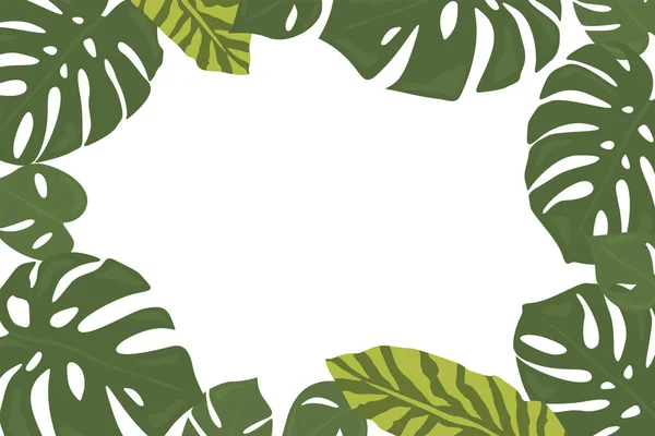 Monstera tropický prales listy pozadí. Zelený rámeček dekora — Stockový vektor