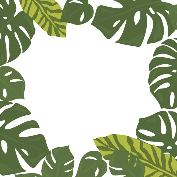 Monstera forêt tropicale feuilles de fond. Cadre vert decorati — Image vectorielle