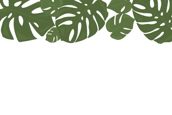 Monstera tropisk skog löv bakgrund. Grön ram dekorati — Stock vektor