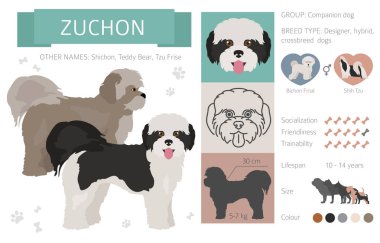 Tasarımcı, crossbreed, hibrid mix köpek koleksiyonu whi izole