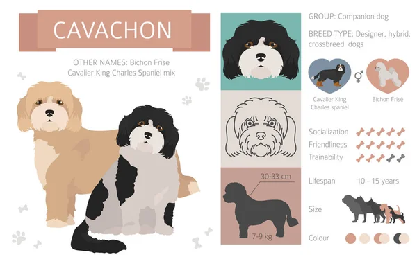 Дизайнерська, хрестоподібна, гібридна колекція собак ізольована на w — стоковий вектор