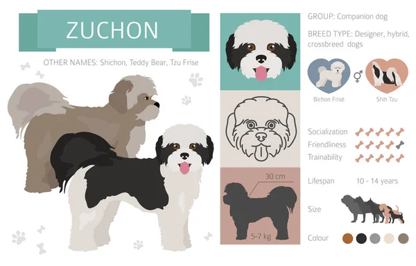 Designer, Mischlingshunde, Mischlingshunde Sammlung isoliert auf whi — Stockvektor