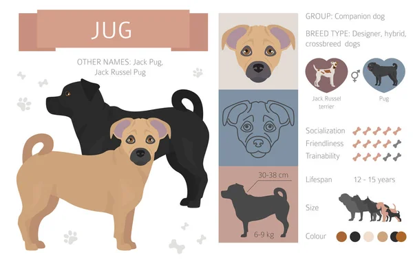 Designer, Mischlingshunde, Mischlingshunde Sammlung isoliert auf whi — Stockvektor