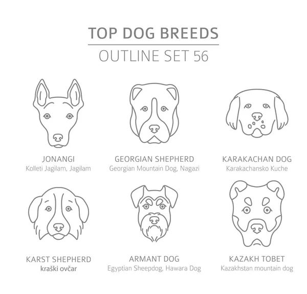 Mejores razas de perros. Juego de perros de caza, pastores y acompañantes. Mascotas — Vector de stock