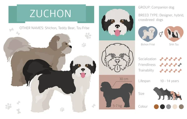 Download 87 Bichon Silhouette Vector Images Free Royalty Free Bichon Silhouette Vectors Depositphotos