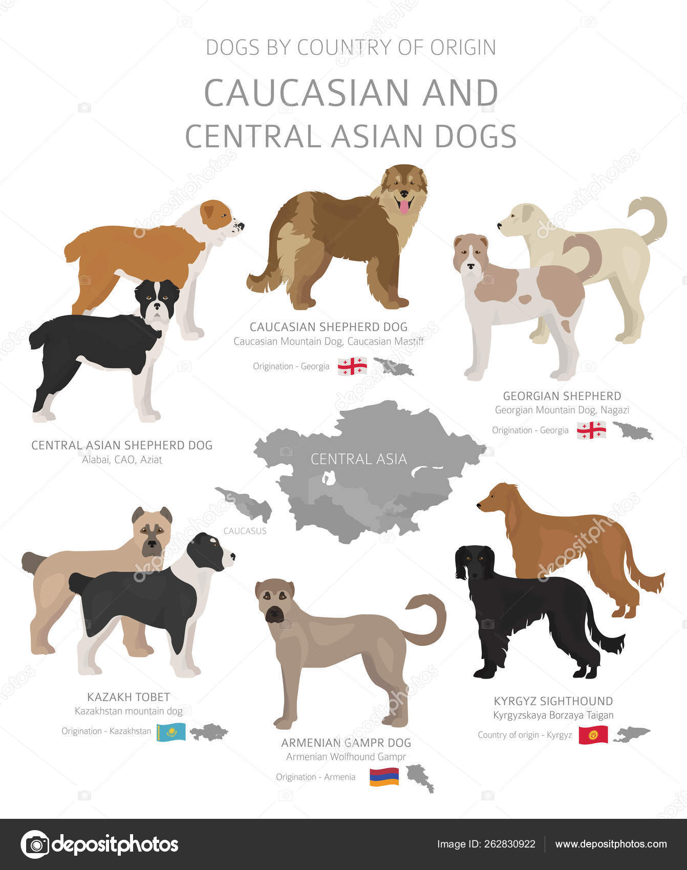 Asian hound cheap