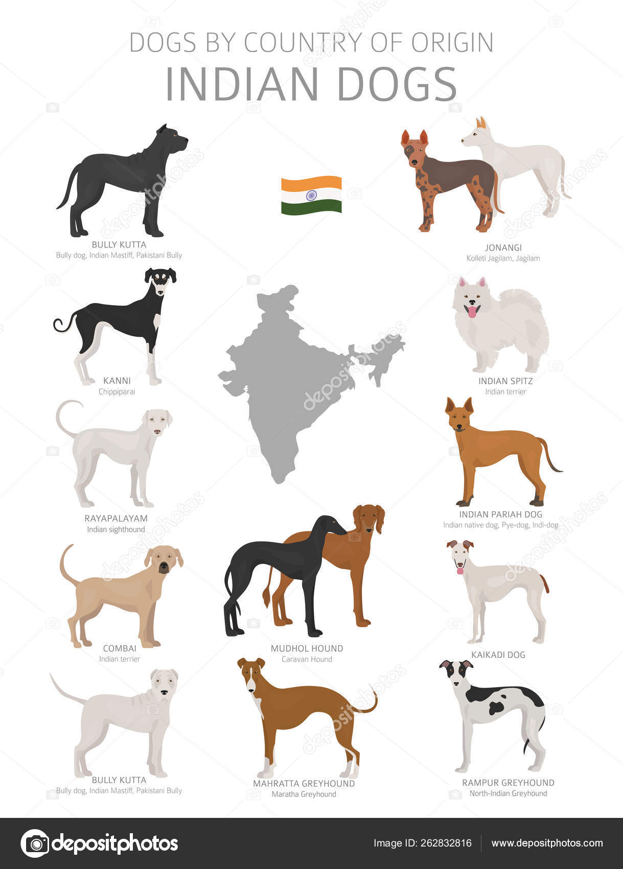 gys forlade labyrint Dogs by country of origin. Indian dog breeds. Shepherds, hunting Stock  Vector Image by ©A7880S #262832816