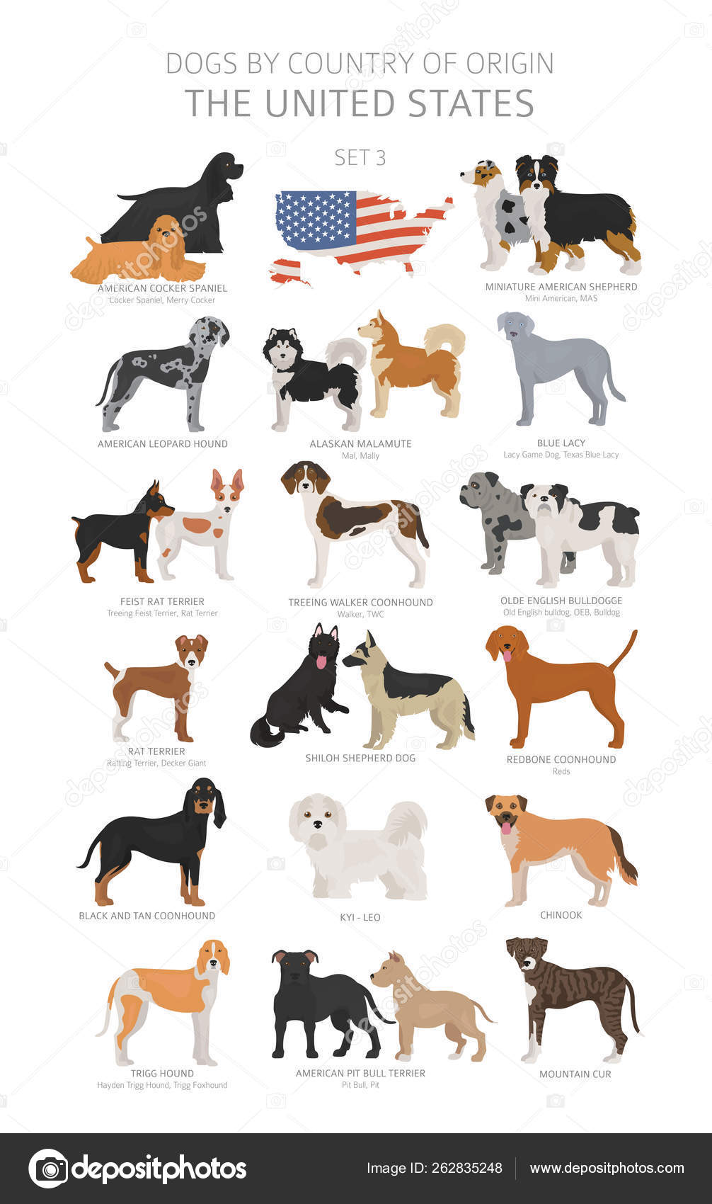 Images Mountain Feist Dog Dogs By Country Of Origin Dog Breeds From The United States Of Stock Vector C A7880s 262835248