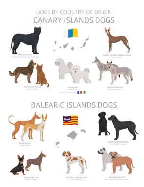 Menşe ülkeye göre köpekler. Kanarya ve Balear adaları köpek ırkı