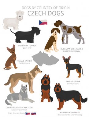 Menşe ülkeye göre köpekler. Çek köpek ırkları. Çobanlar, avcılık,