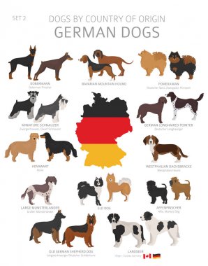Menşe ülkeye göre köpekler. Alman köpek ırkları. Çobanlar, avcılık