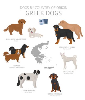 Menşe ülkeye göre köpekler. Yunan köpeği yetiştirir. Çobanlar, avcılık,