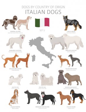 Menşe ülkeye göre köpekler. İtalyan köpek ırkları. Çobanlar, av