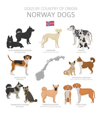 Dogs by country of origin. Norway dog breeds. Shepherds, hunting clipart