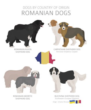 Menşe ülkeye göre köpekler. Romen köpek ırkları. Çobanlar, av