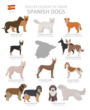 Menşe ülkeye göre köpekler. İspanyol köpek ırkları. Çobanlar, av