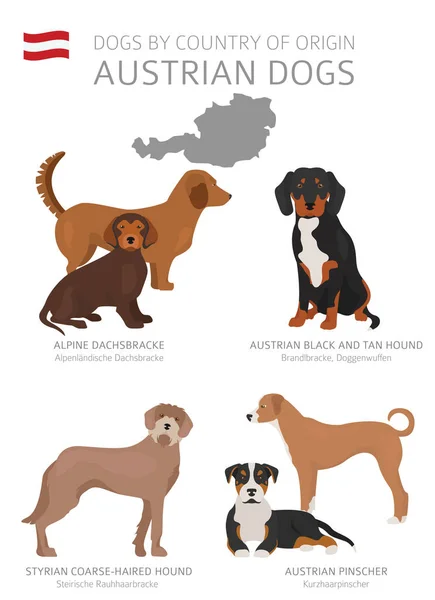 Dogs by country of origin. Austrain dog breeds. Shepherds, hunti — Stock Vector