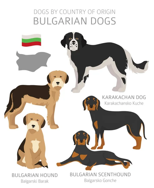 原産国別の犬。ブルガリアの犬の品種。羊飼い, 狩り — ストックベクタ