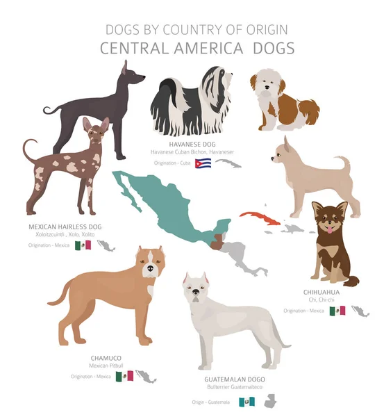 Menşe ülkeye göre köpekler. Orta Amerika köpek ırkları. Çoban — Stok Vektör