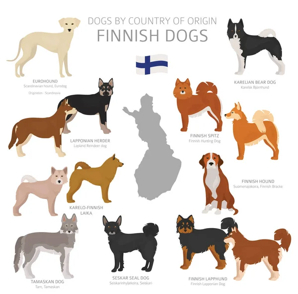 Dogs by country of origin. Finnish dog breeds. Shepherds, huntin — Stock Vector