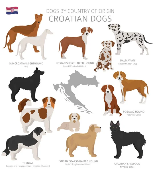 狗按来源国分列。克罗地亚狗品种。牧羊人， 亨蒂 — 图库矢量图片