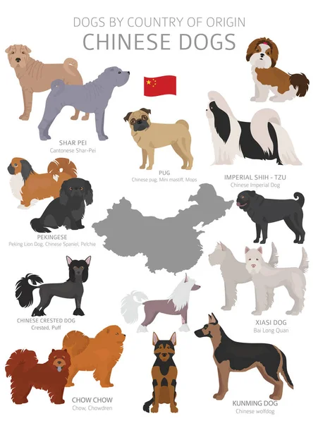 原産国別の犬。中国の犬の品種。羊飼い,ハンティン — ストックベクタ