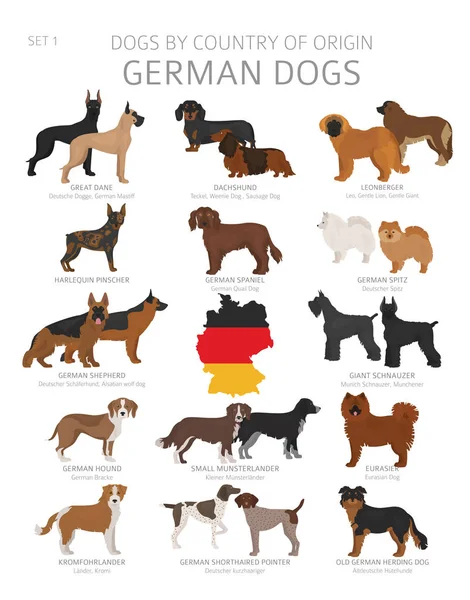 Dogs by country of origin. German dog breeds. Shepherds, hunting — Stock Vector