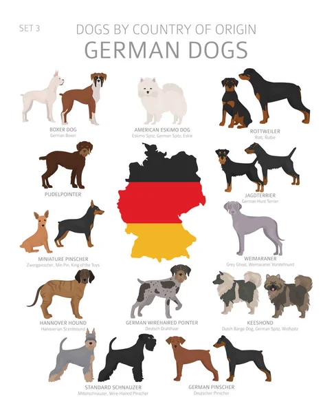 Dogs by country of origin. German dog breeds. Shepherds, hunting — Stock Vector