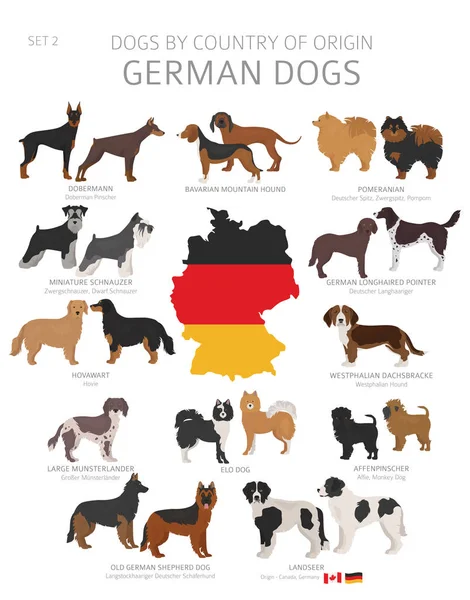 Dogs by country of origin. German dog breeds. Shepherds, hunting — Stock Vector