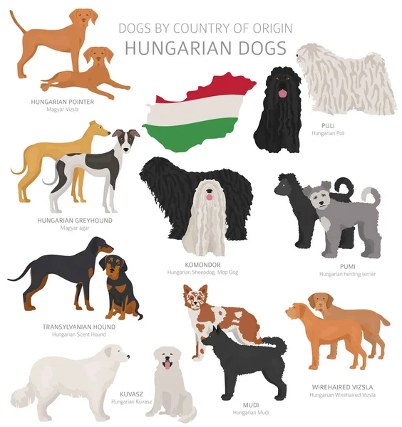Dogs by country of origin. Hungarian dog breeds. Shepherds, hunt — Stock Vector