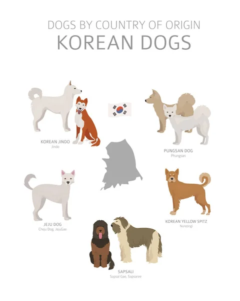 Perros por país de origen. Razas de perros coreanos. Pastores, caza — Vector de stock