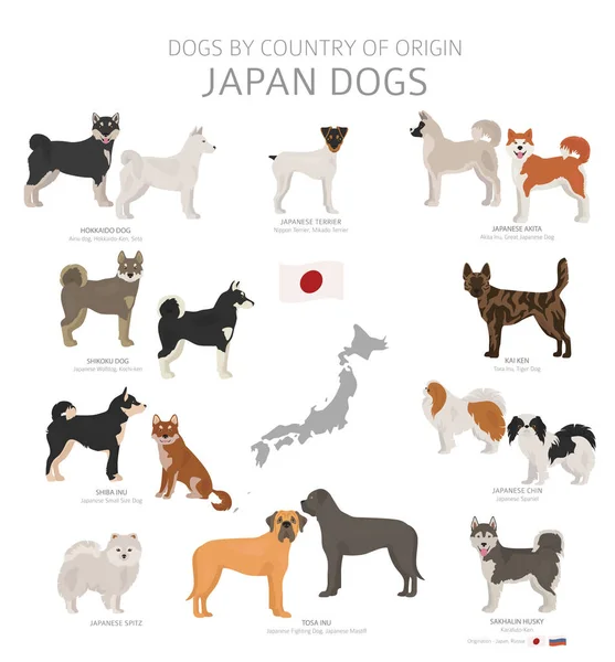Perros por país de origen. Razas de perros japoneses. Pastores, hunti — Vector de stock