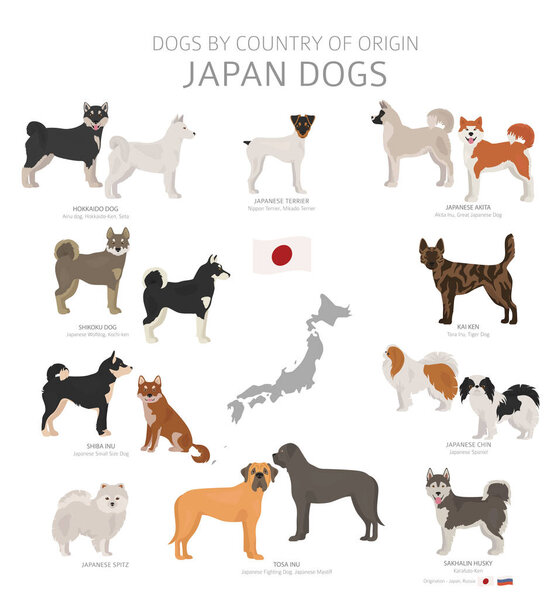 Dogs by country of origin. Japanese dog breeds. Shepherds, hunti