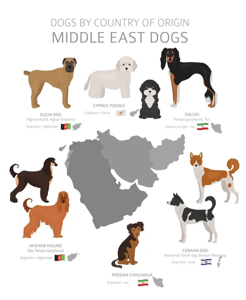 狗按来源国分列。中东狗品种。牧羊人，胡 — 图库矢量图片