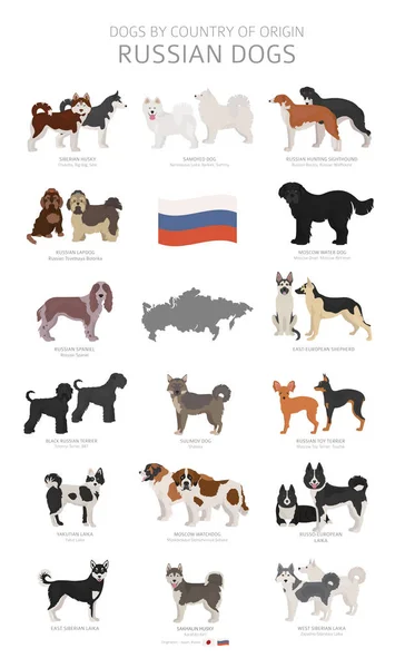 Perros por país de origen. Razas de perros rusos. Pastores, caza. — Vector de stock