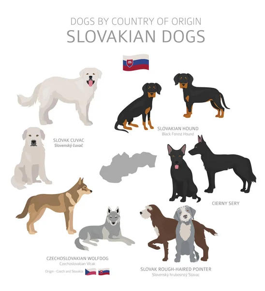 Dogs by country of origin. Slovakian dog breeds. Shepherds, hunt — Stock Vector