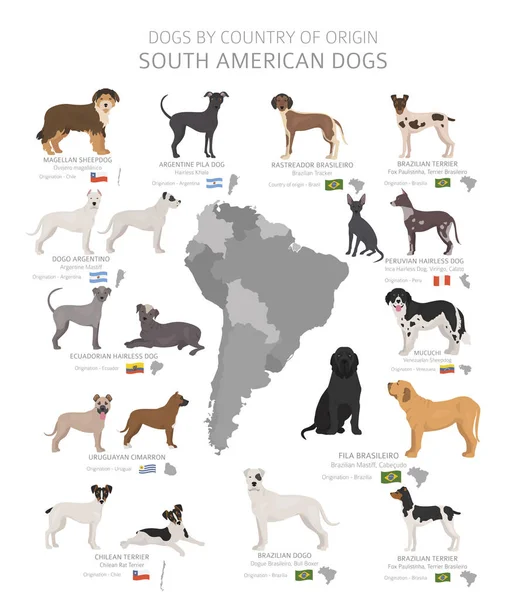 Perros por país de origen. Razas de perros sudamericanos. Pastores. , — Vector de stock